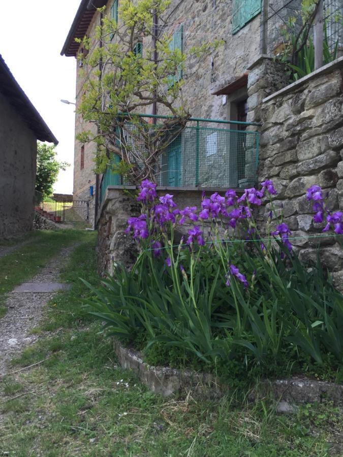 프라토베키오 Castello Di Urbech 아파트 외부 사진