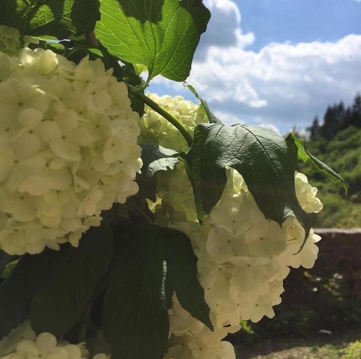 프라토베키오 Castello Di Urbech 아파트 외부 사진